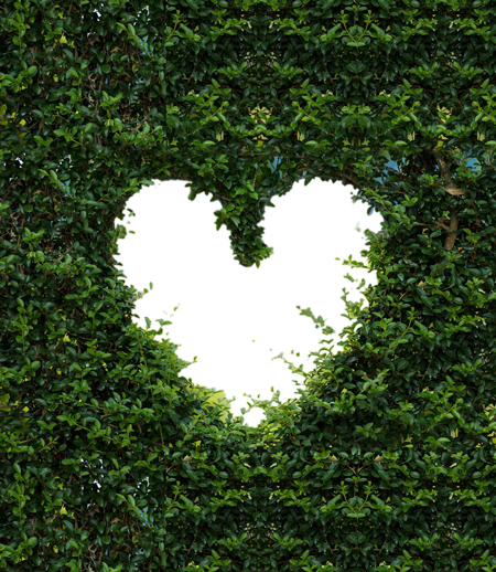 corazon-2